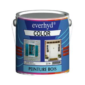 Peinture phase aqueuse Everhyd Color